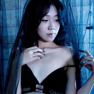 公凡梦
