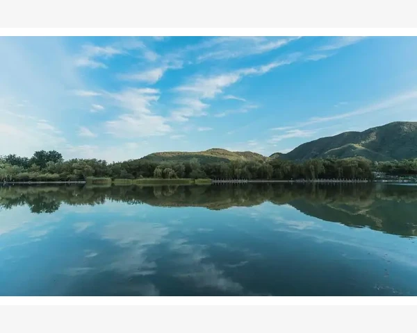 后背拔罐时间究竟多久更有效？详解拔罐注意事项